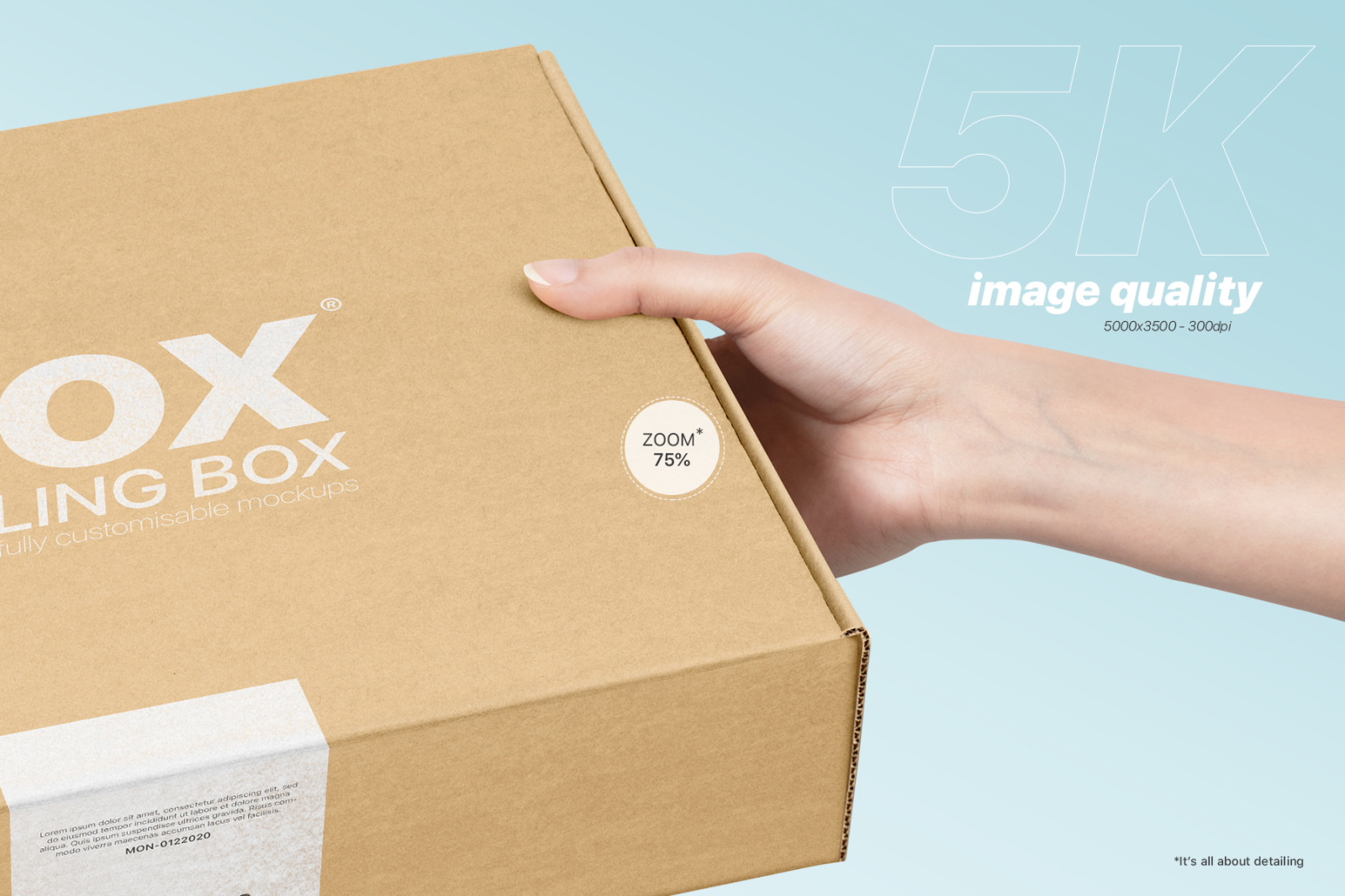 Mailing Box Mockups Set