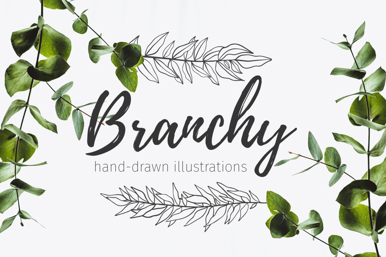 52 hand drawn branches 52 hand drawn branches