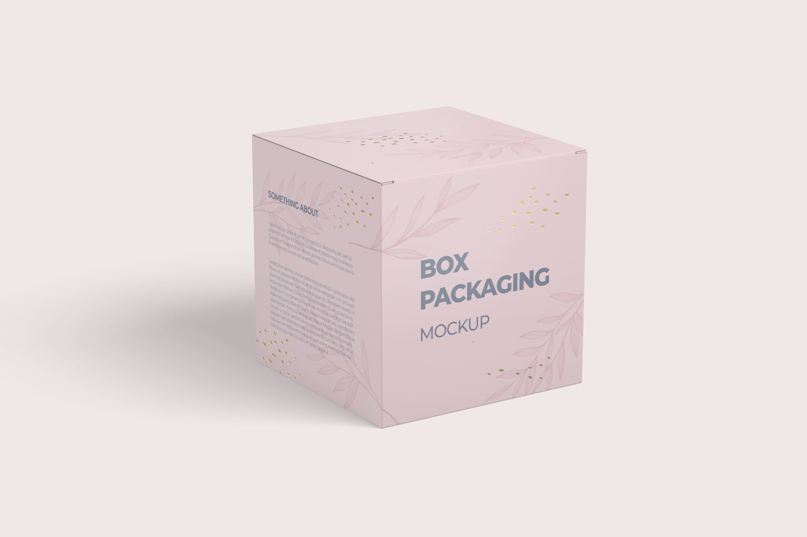 Box | Packaging Mockup Box | Packaging Mockup