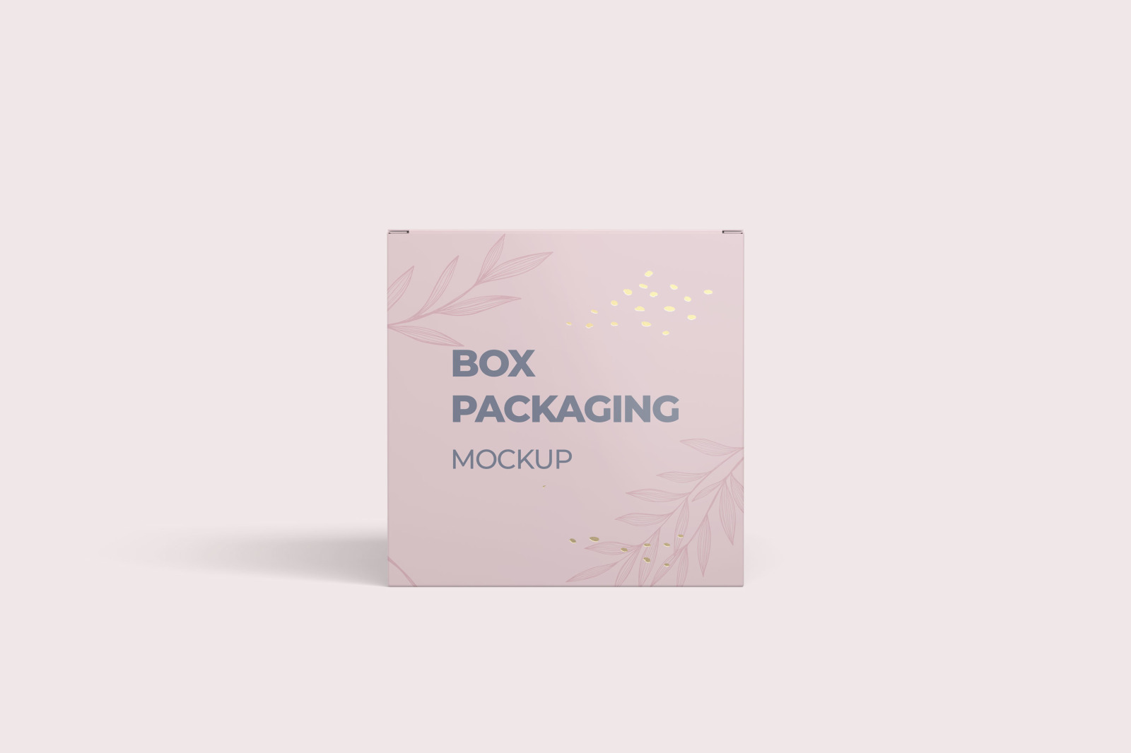 Box | Packaging Mockup Box | Packaging Mockup