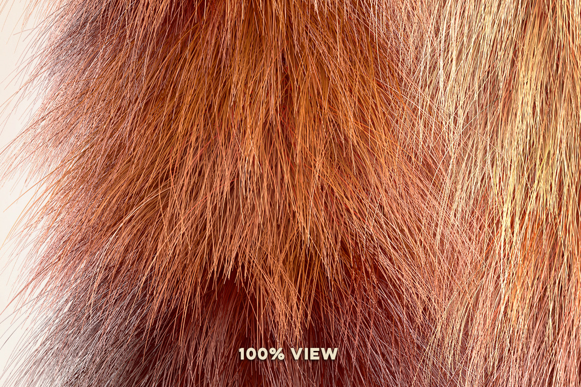 3D Fox Furry Letters Pack 3D Fox Furry Letters Pack