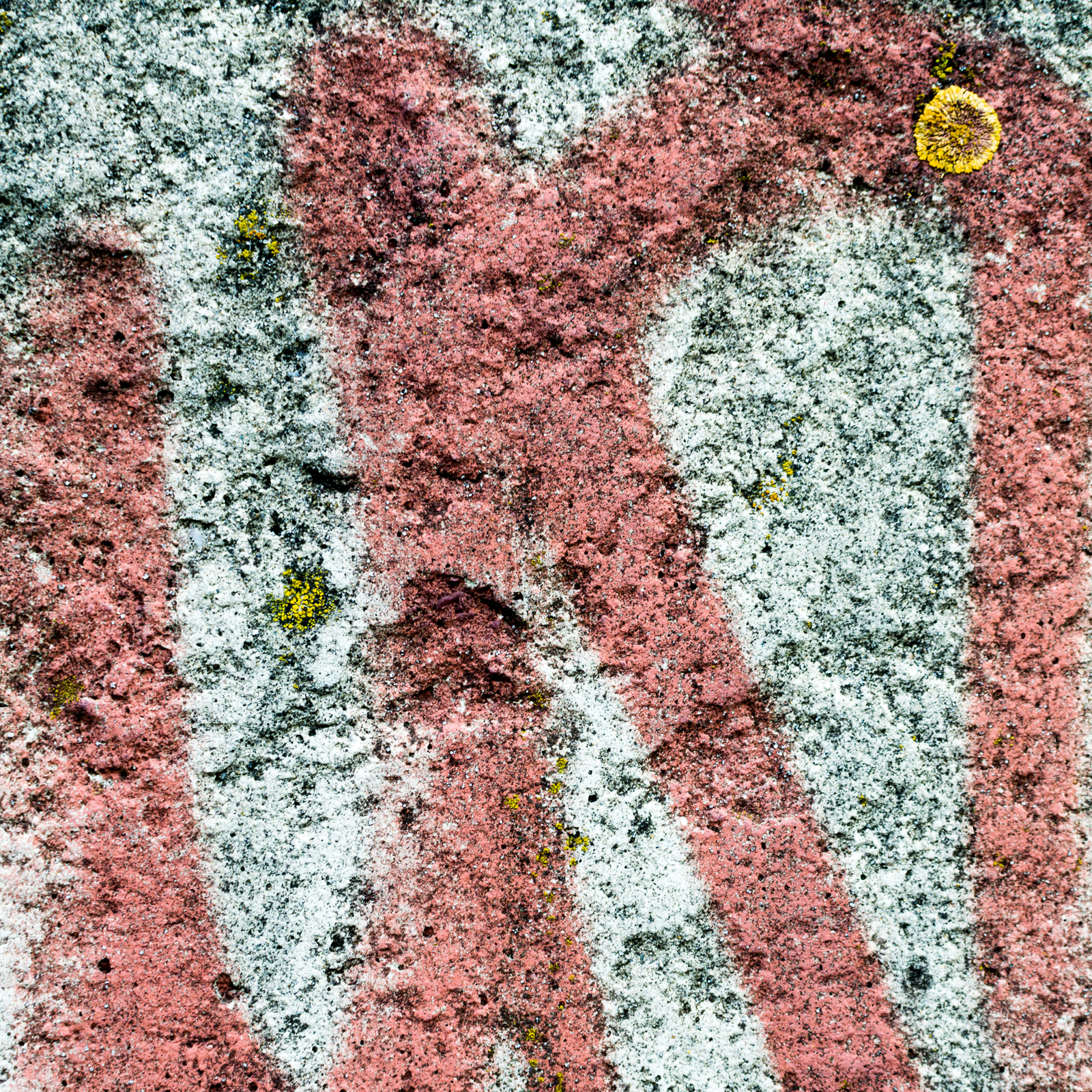 Urban Textures Vol.1 Urban Textures Vol.1