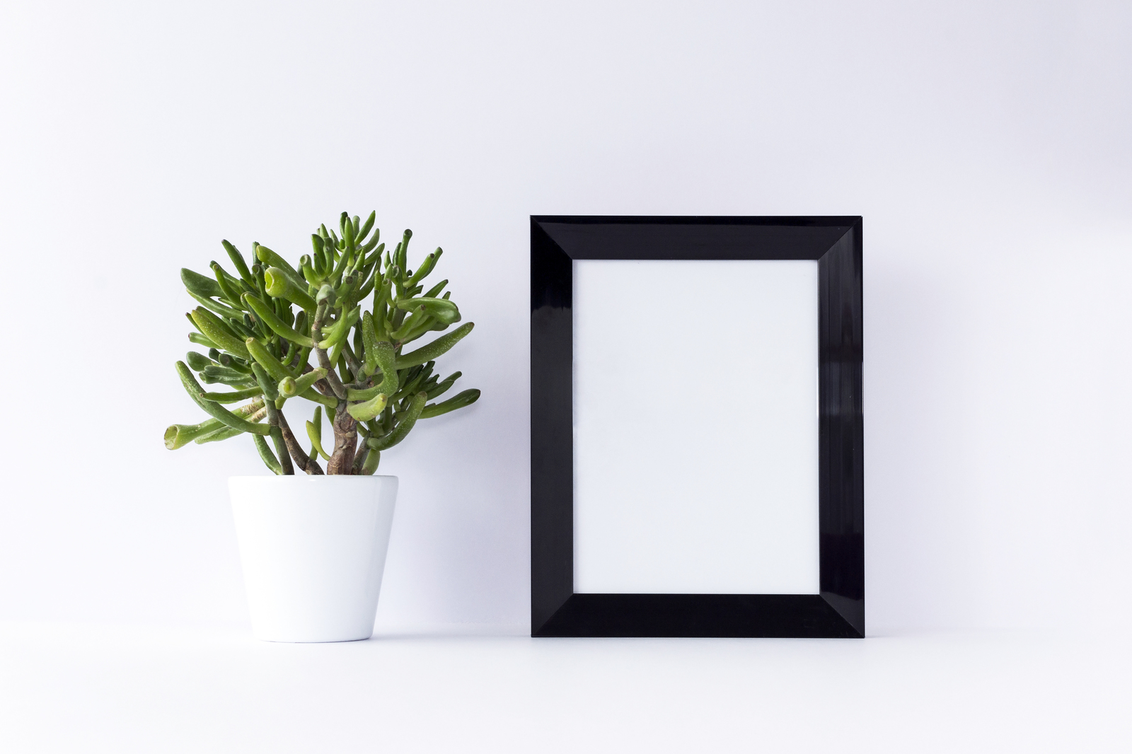 Black Frame Mockup with Cactus Flower