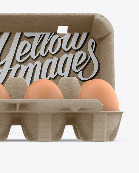 Open Kraft Egg Container - Front View - Free Download Images High