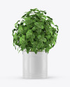 Basil in The Pot Mockup