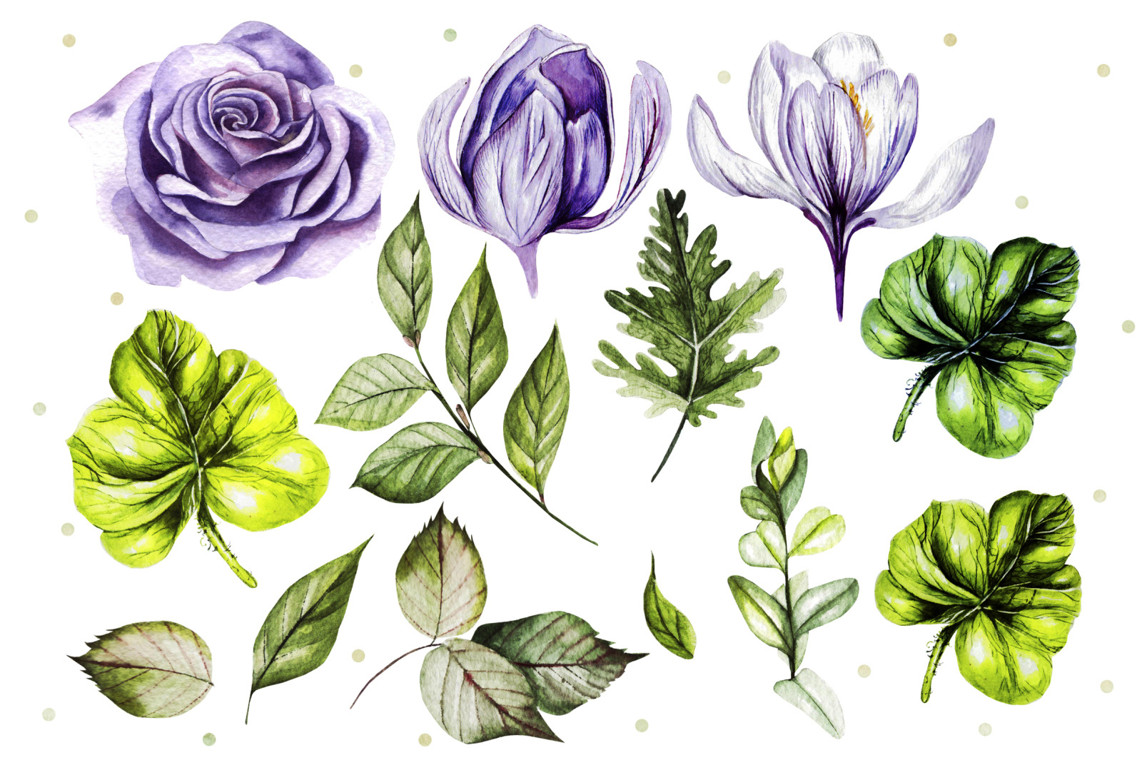 Watercolor Roses &amp; Crocuses