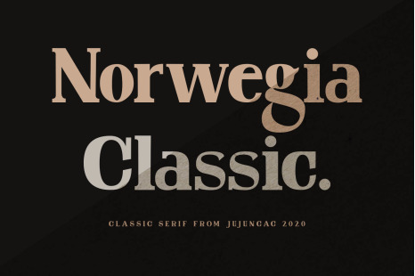 Norwegia Classic Serif Font - Fonts