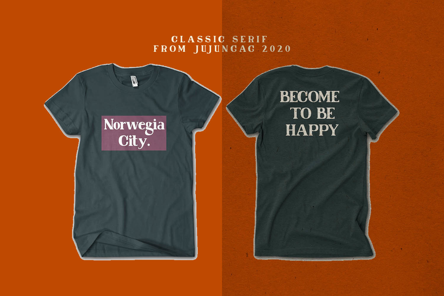 Norwegia Classic Serif Font Norwegia Classic Serif Font