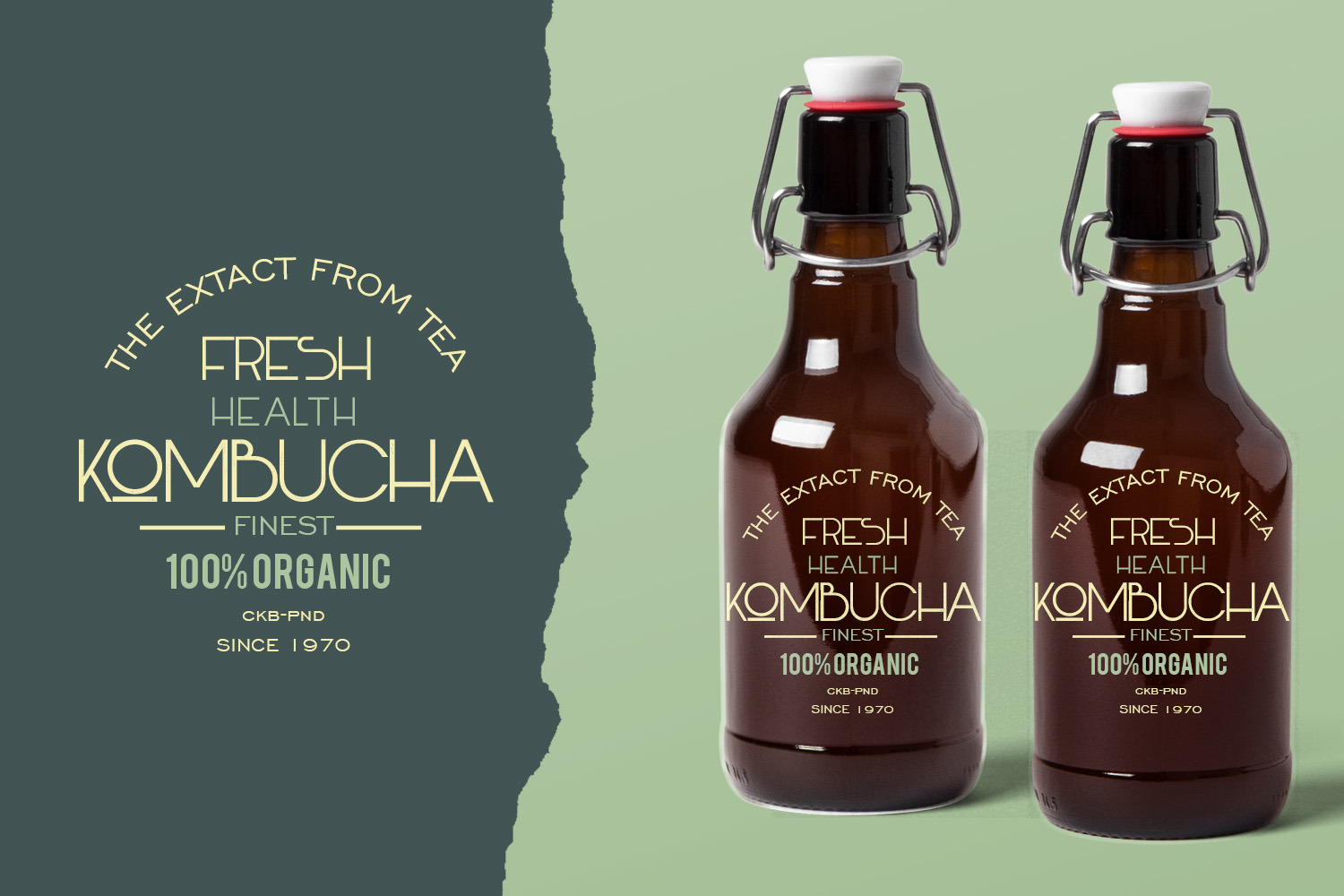 John Beer Two Faced Display Font John Beer Two Faced Display Font