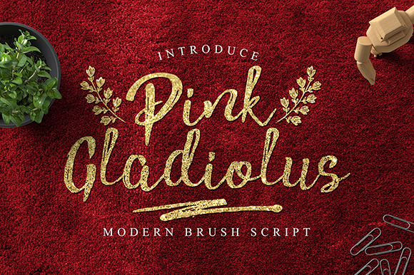 Pink Gladiolus Pink Gladiolus