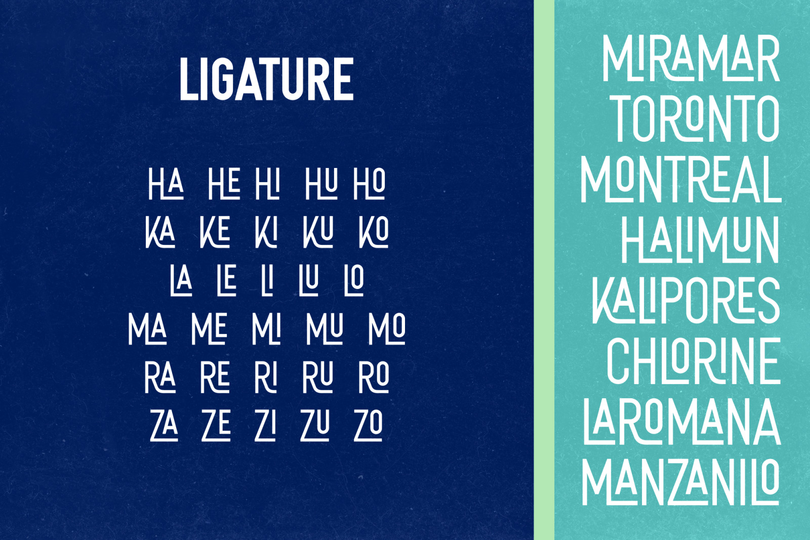 THERIDGE - Multipurpose condensed fonts