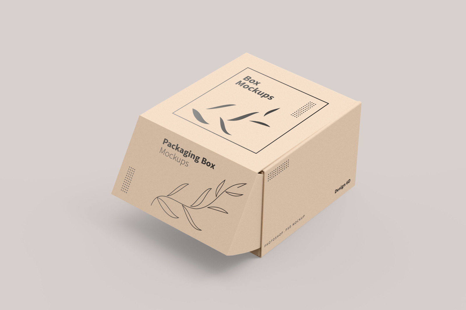 Mailer Box Packaging Mockups