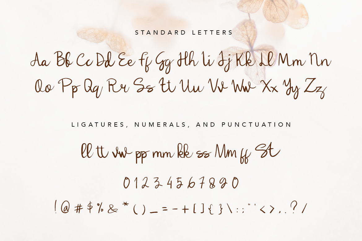 Lulla Font - A Lovely Script Font