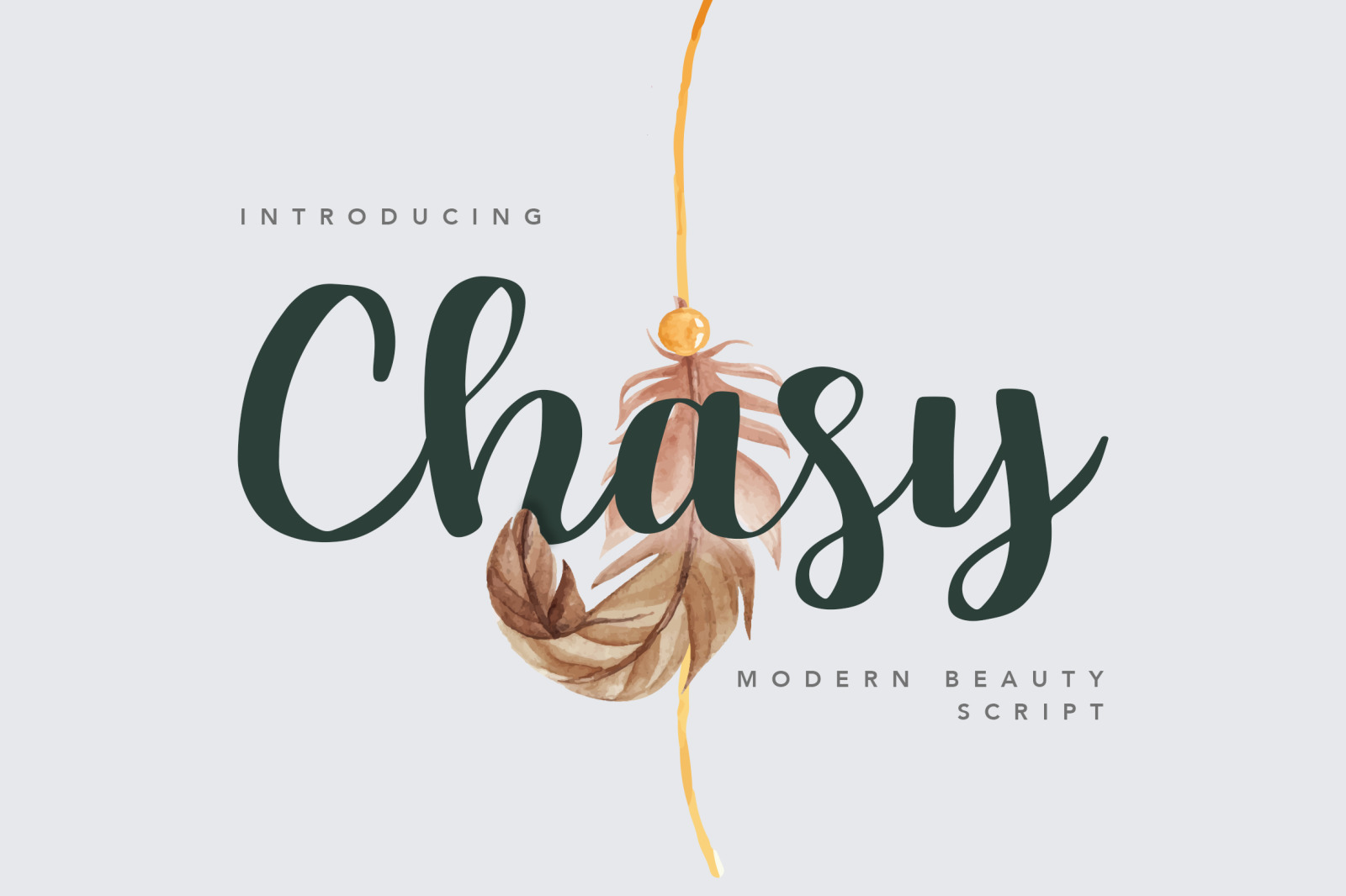 Chasy Beauty Script Font Chasy Beauty Script Font
