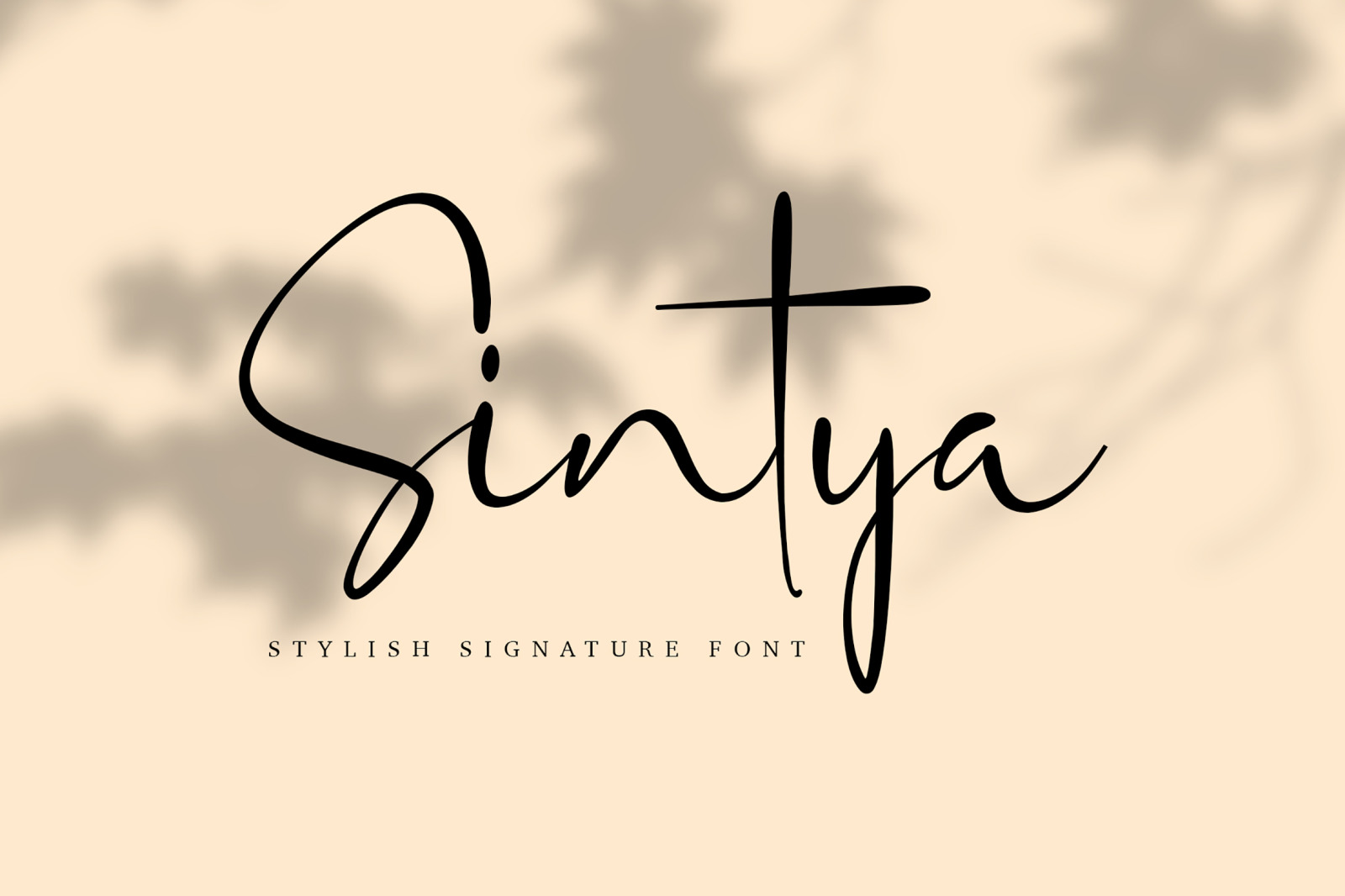 Sintya Stylish Signature Font Sintya Stylish Signature Font