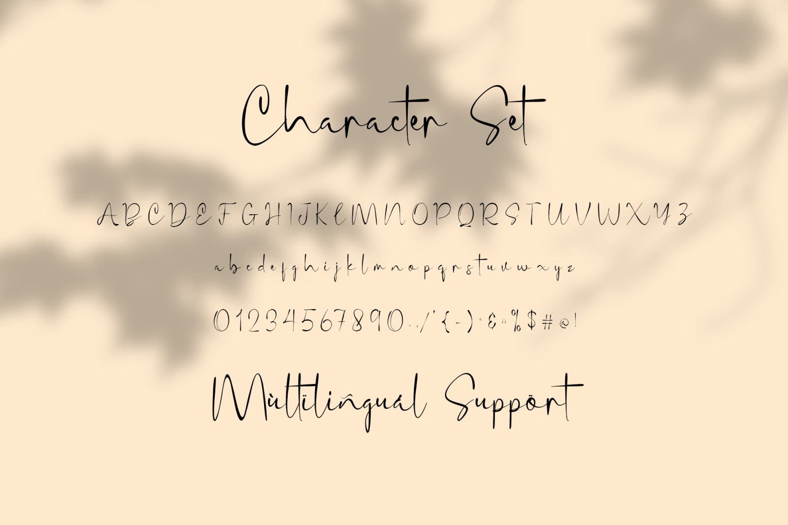 Sintya Stylish Signature Font