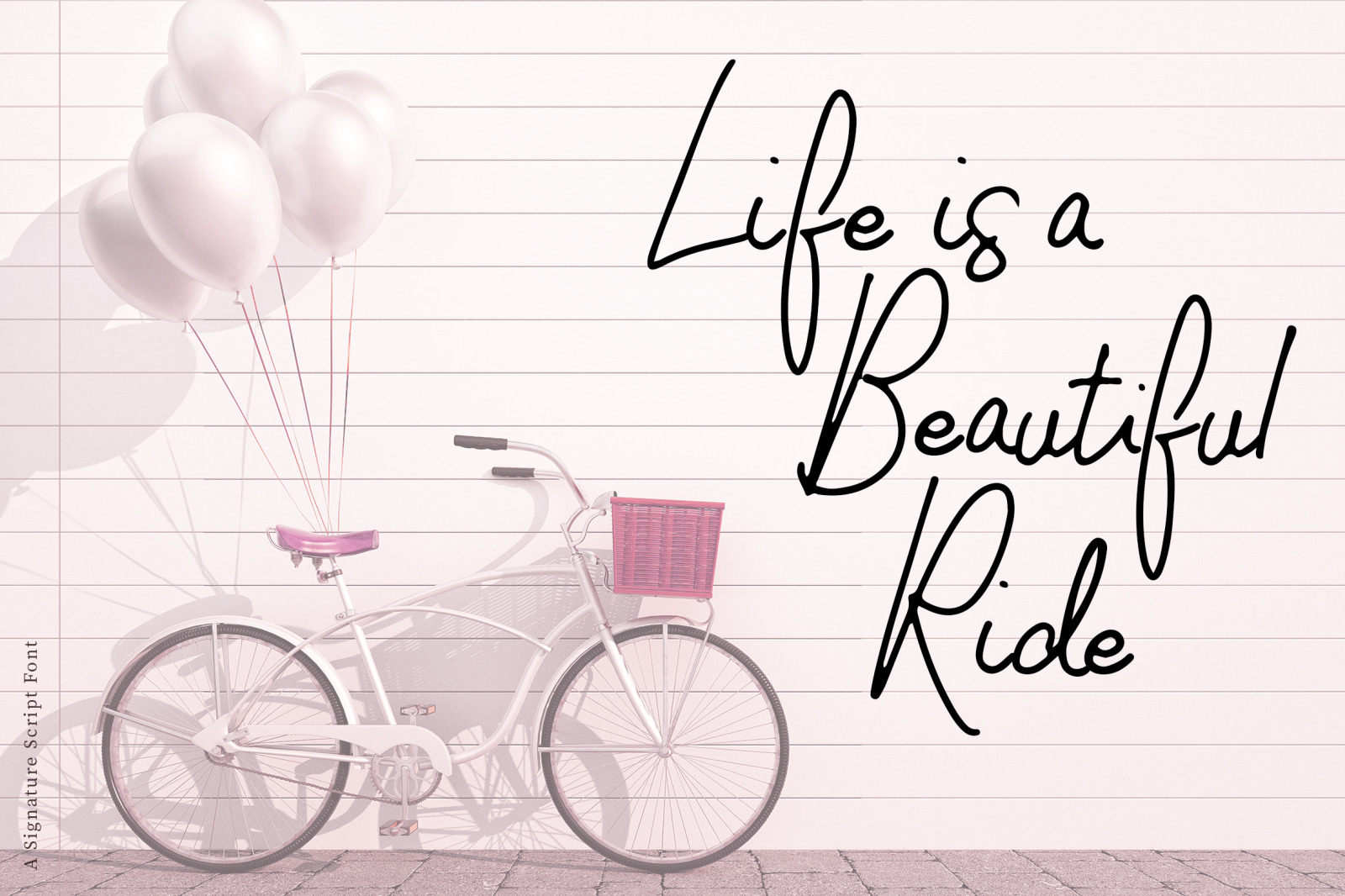 Molita Signature Script Font Molita Signature Script Font