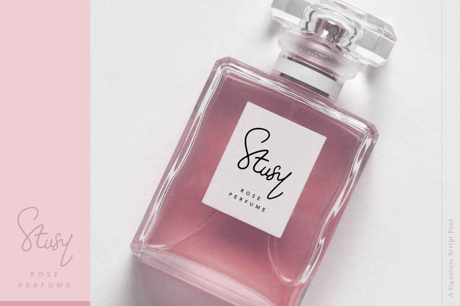 Molita Signature Script Font Molita Signature Script Font