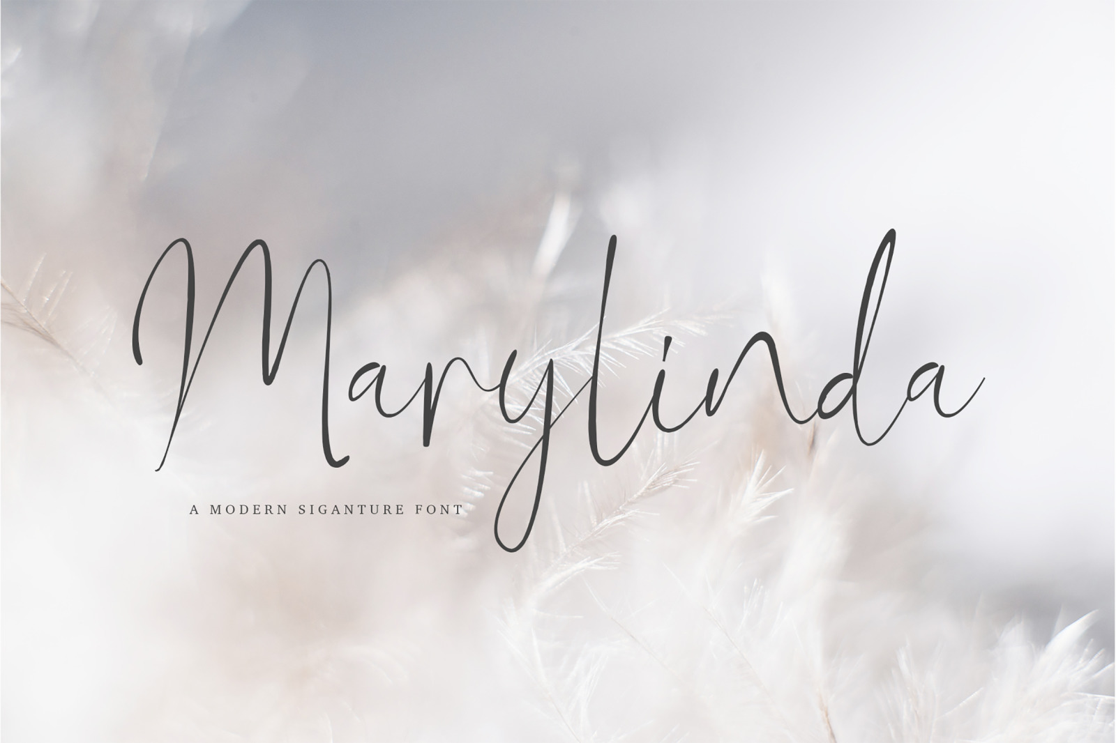 Marylinda Beauty Signature Font