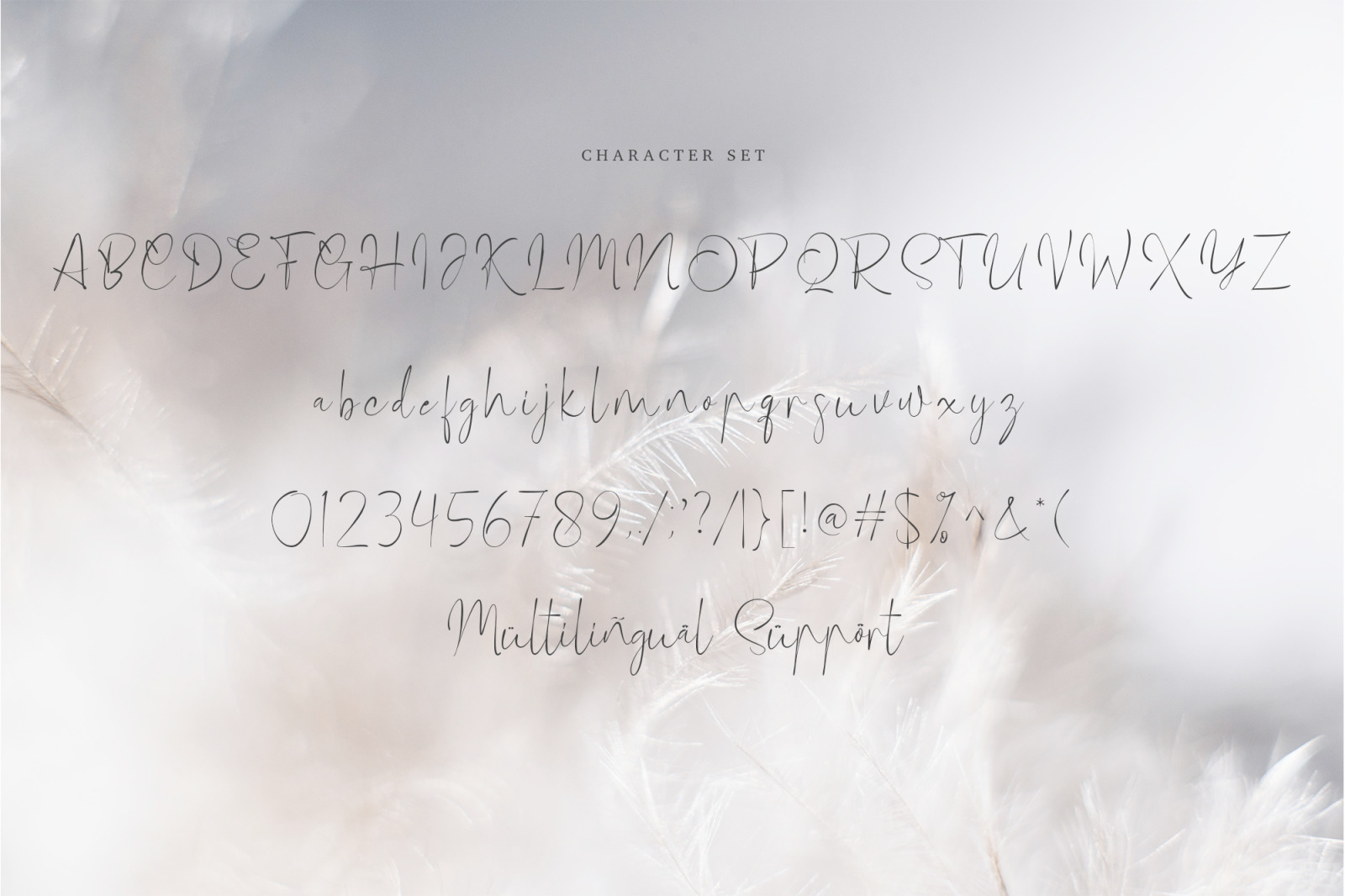 Marylinda Beauty Signature Font