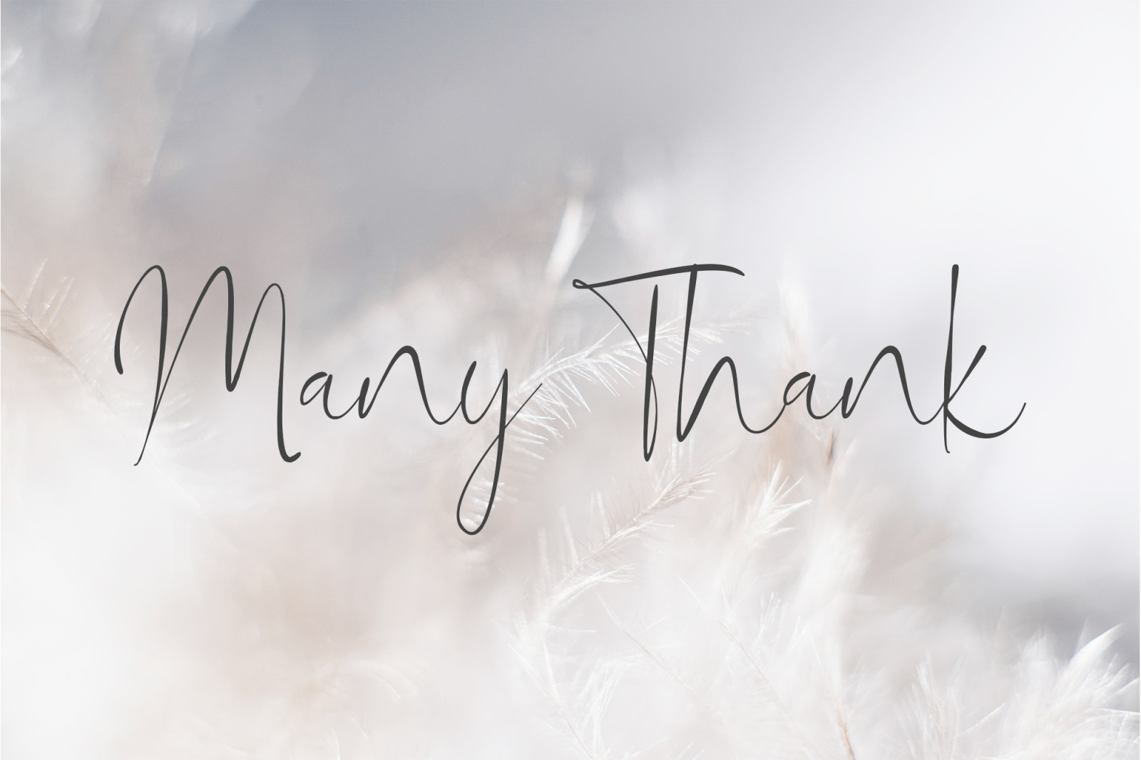 Marylinda Beauty Signature Font Marylinda Beauty Signature Font