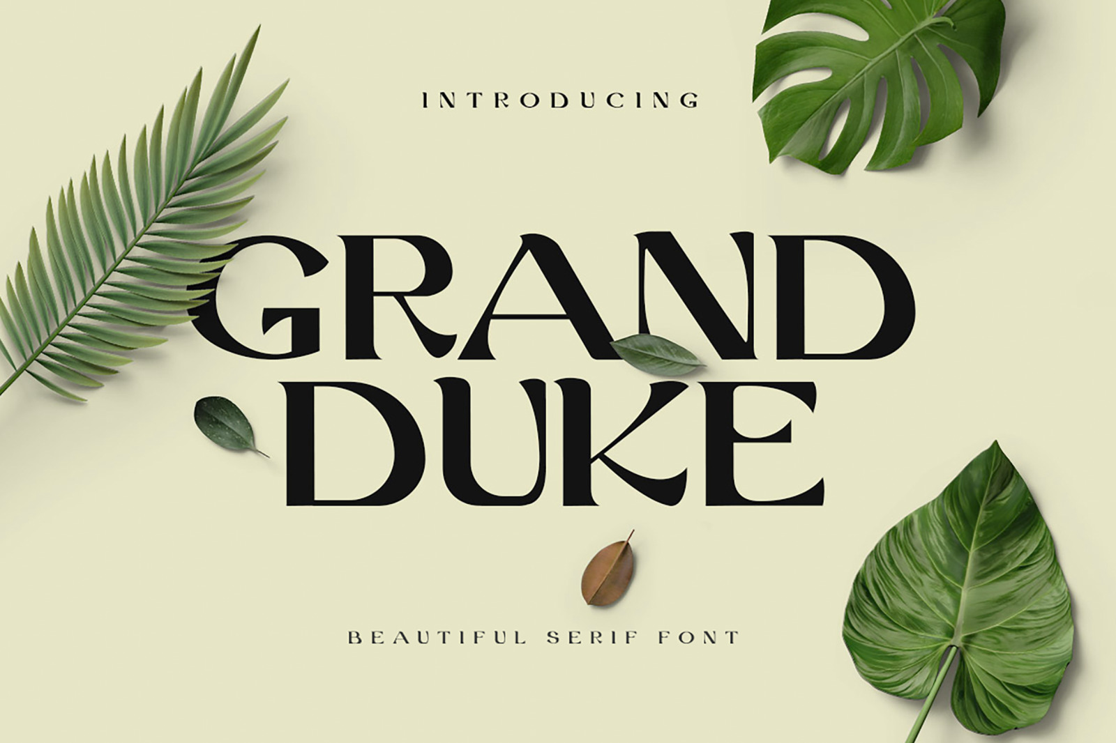 Grand Duke Beauty Serif Font Grand Duke Beauty Serif Font