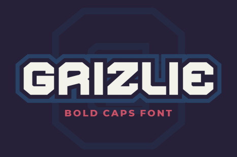 Grizlie Font - Baseball