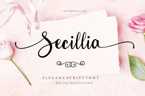 Secillia Font - Anniversary