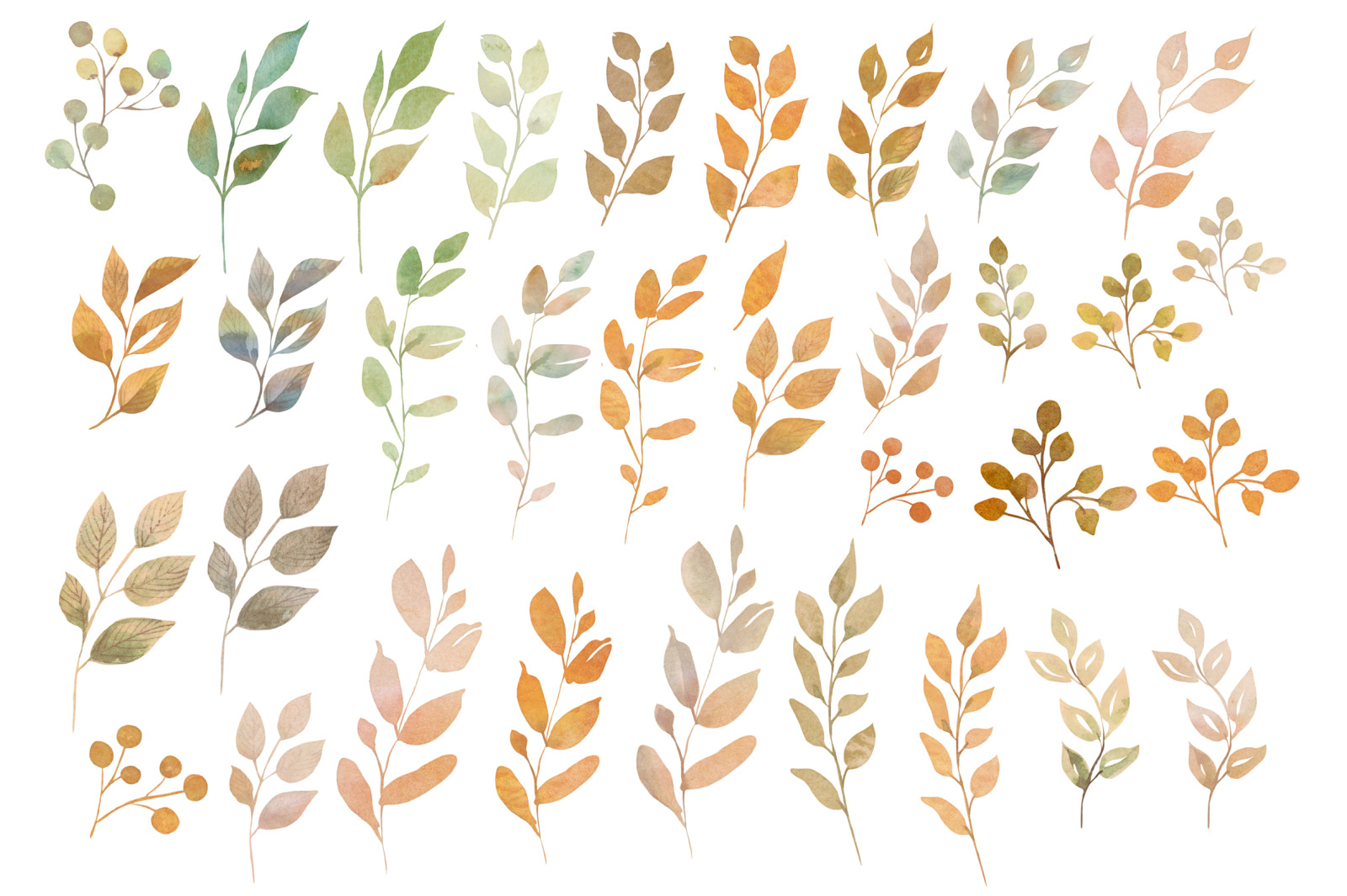 Hand Drawn Watercolor Autumn leaves