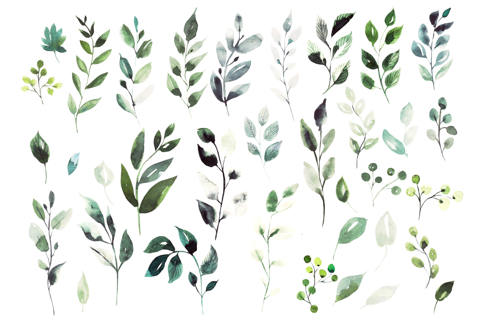 Hand Drawn Watercolor Autumn leaves