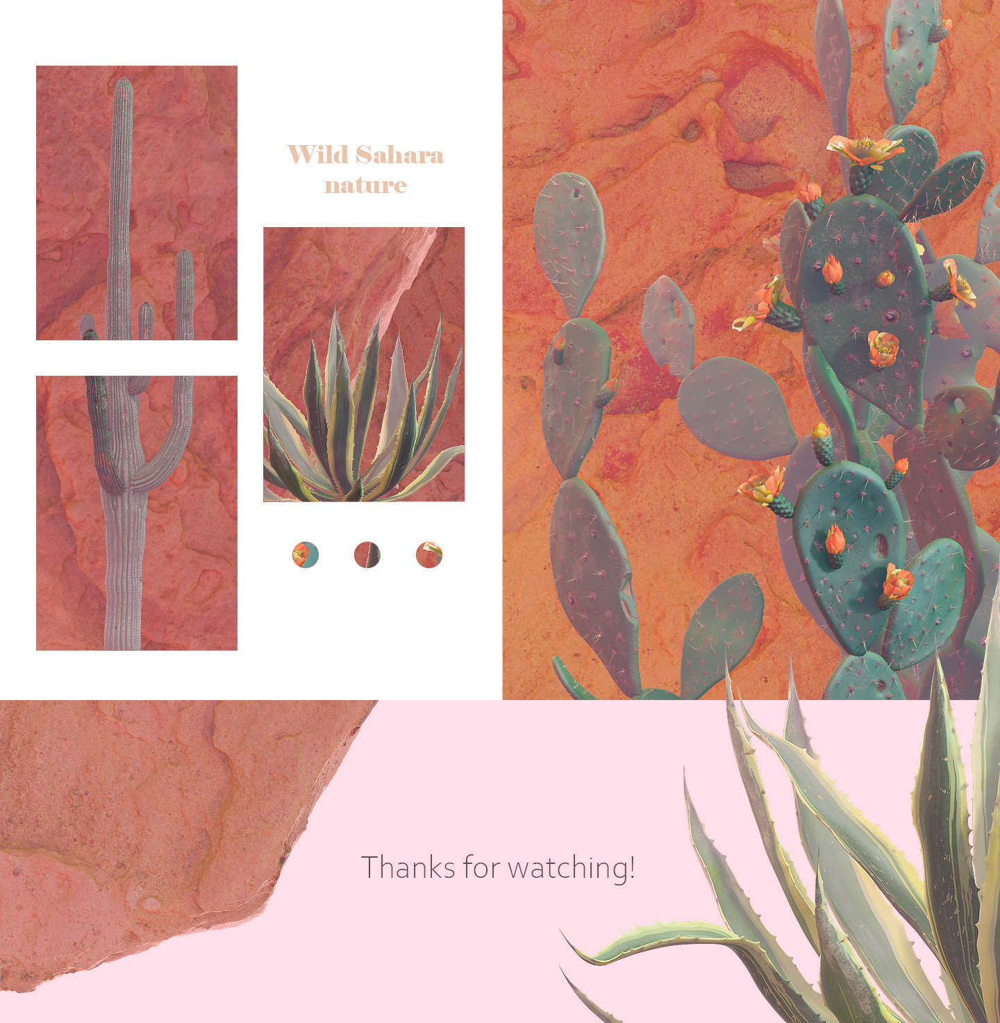 Sahara Flowers #01, 38 mockups