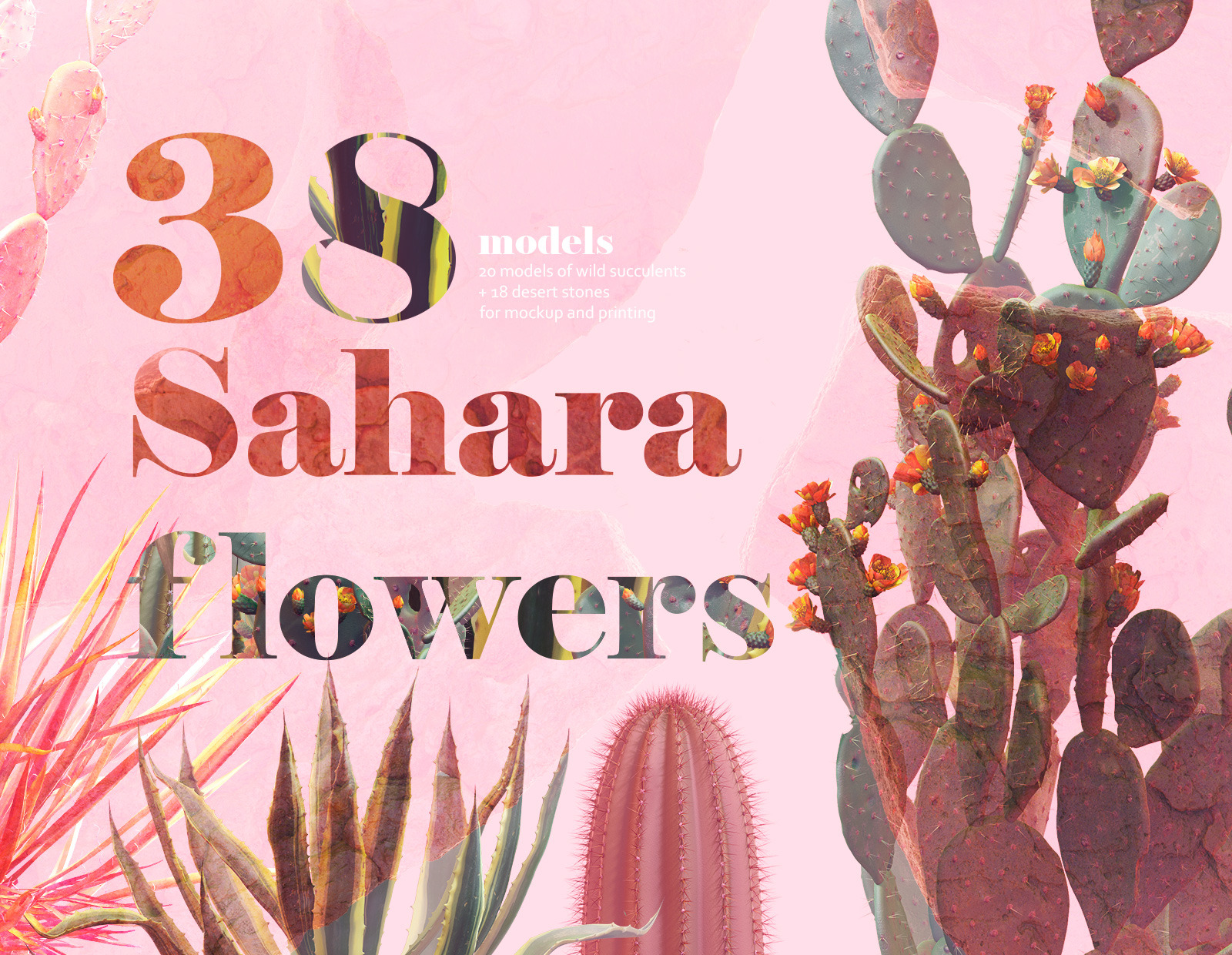 Sahara Flowers #01, 38 mockups