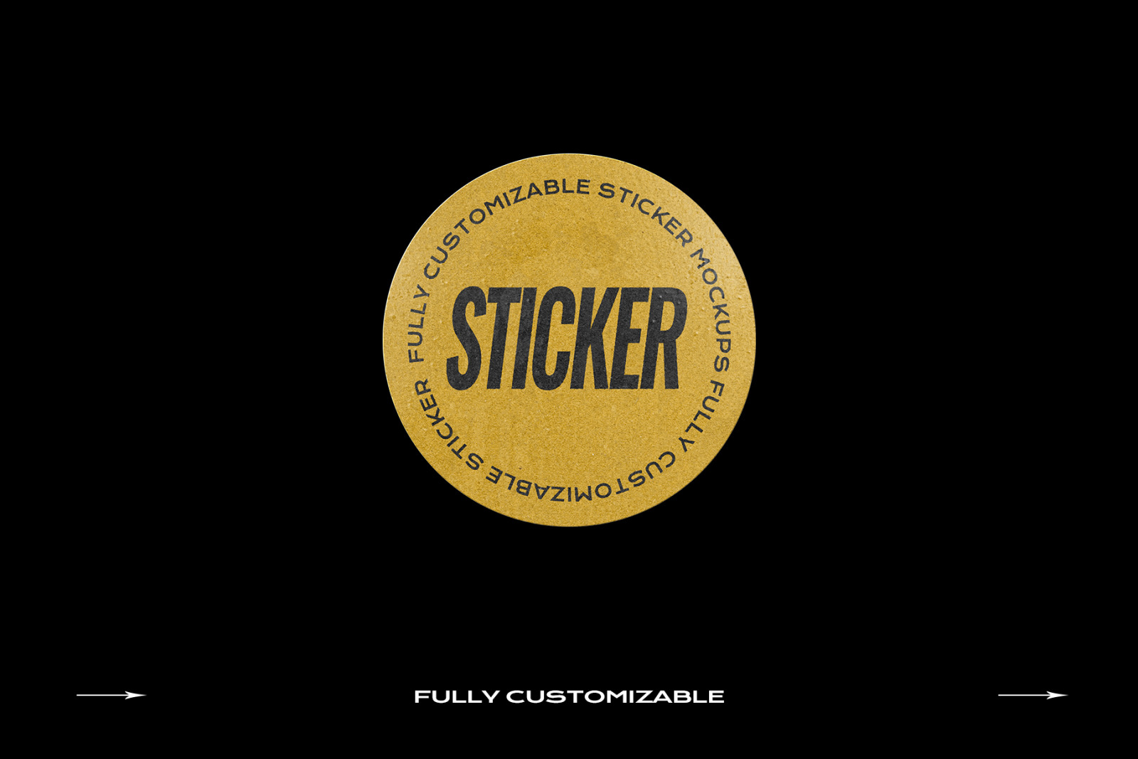 DVD Case Mockup Template Bundle Disc DVD Case Mockup Template Bundle Disc
