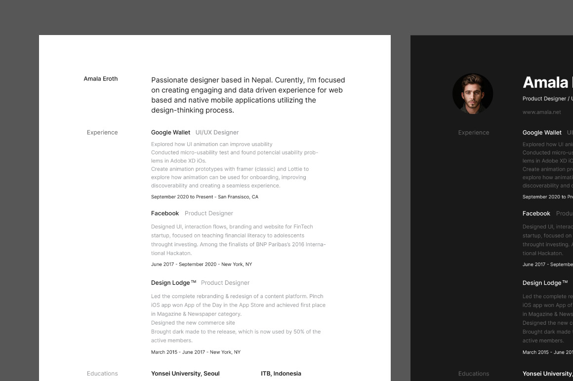 Elegant &amp; Pro Resume