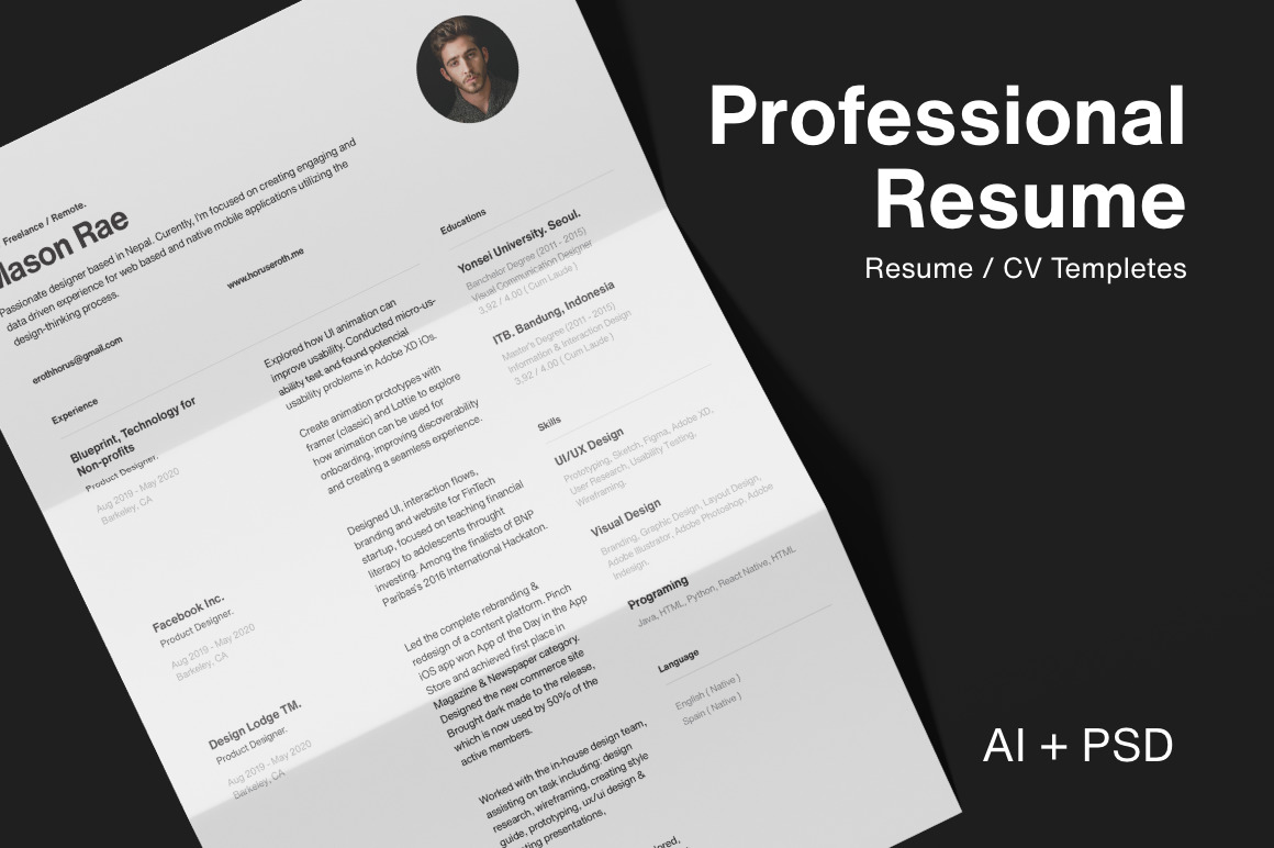 Professional Resume