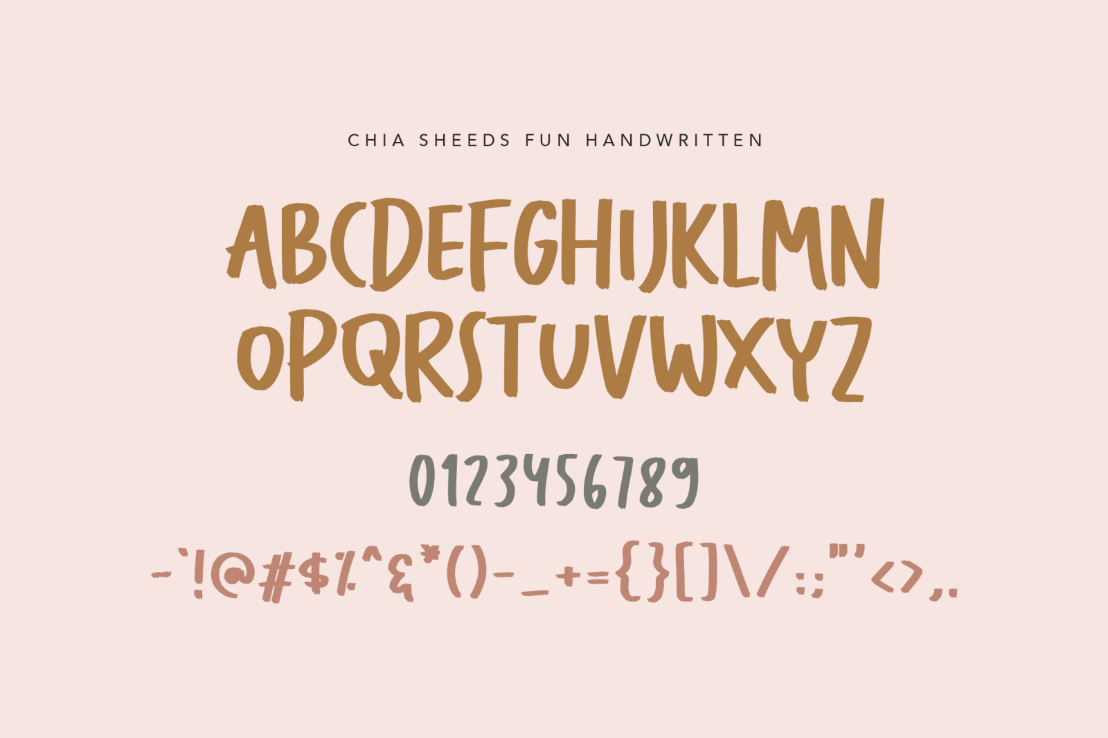 Chia Seeds - Fun Handwritten Font