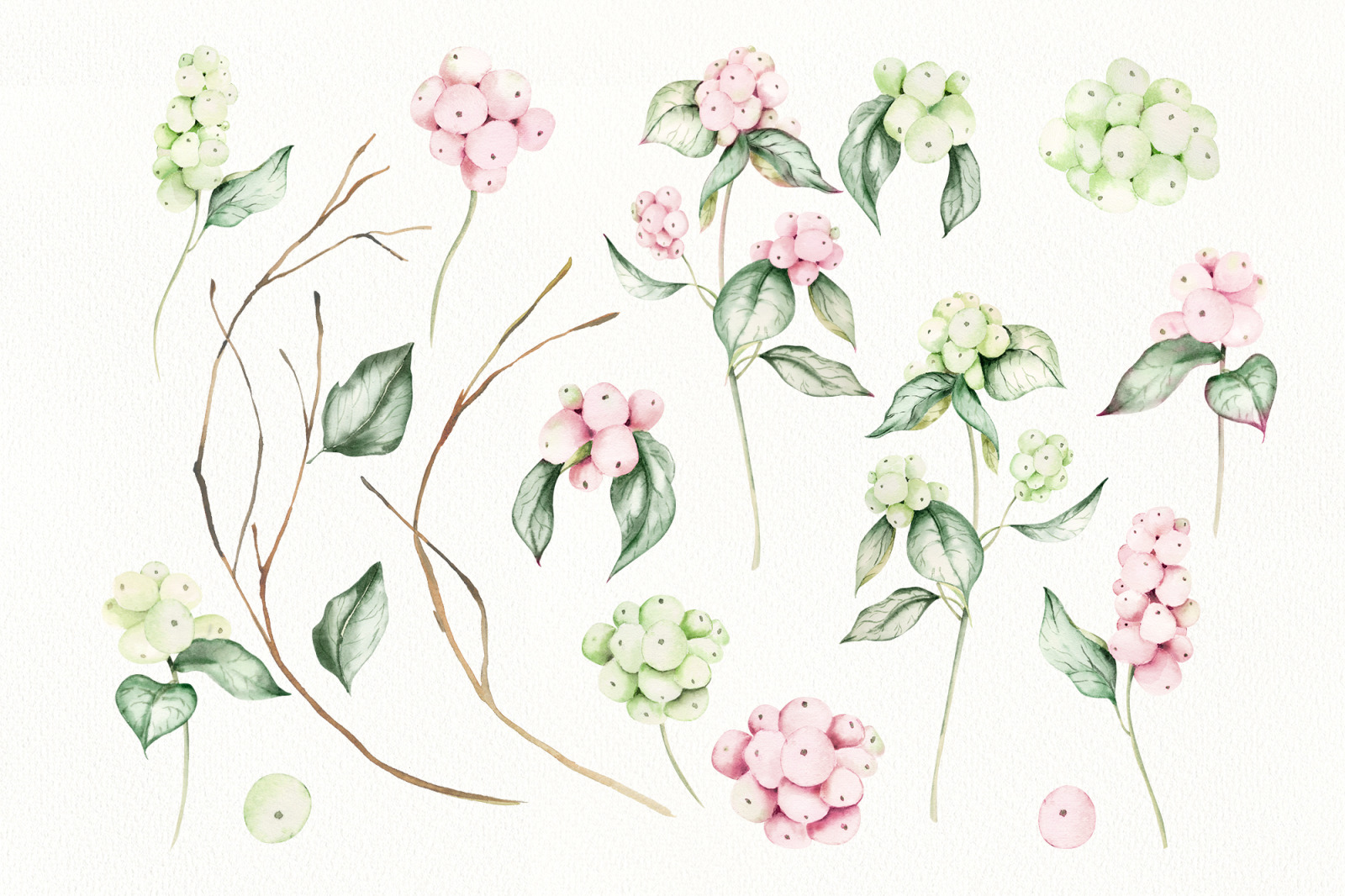 Watercolor winter flowers clipart Christmas bundle with hand drawn flower, christmas wreath Watercolor winter flowers clipart Christmas bundle with hand drawn flower, christmas wreath