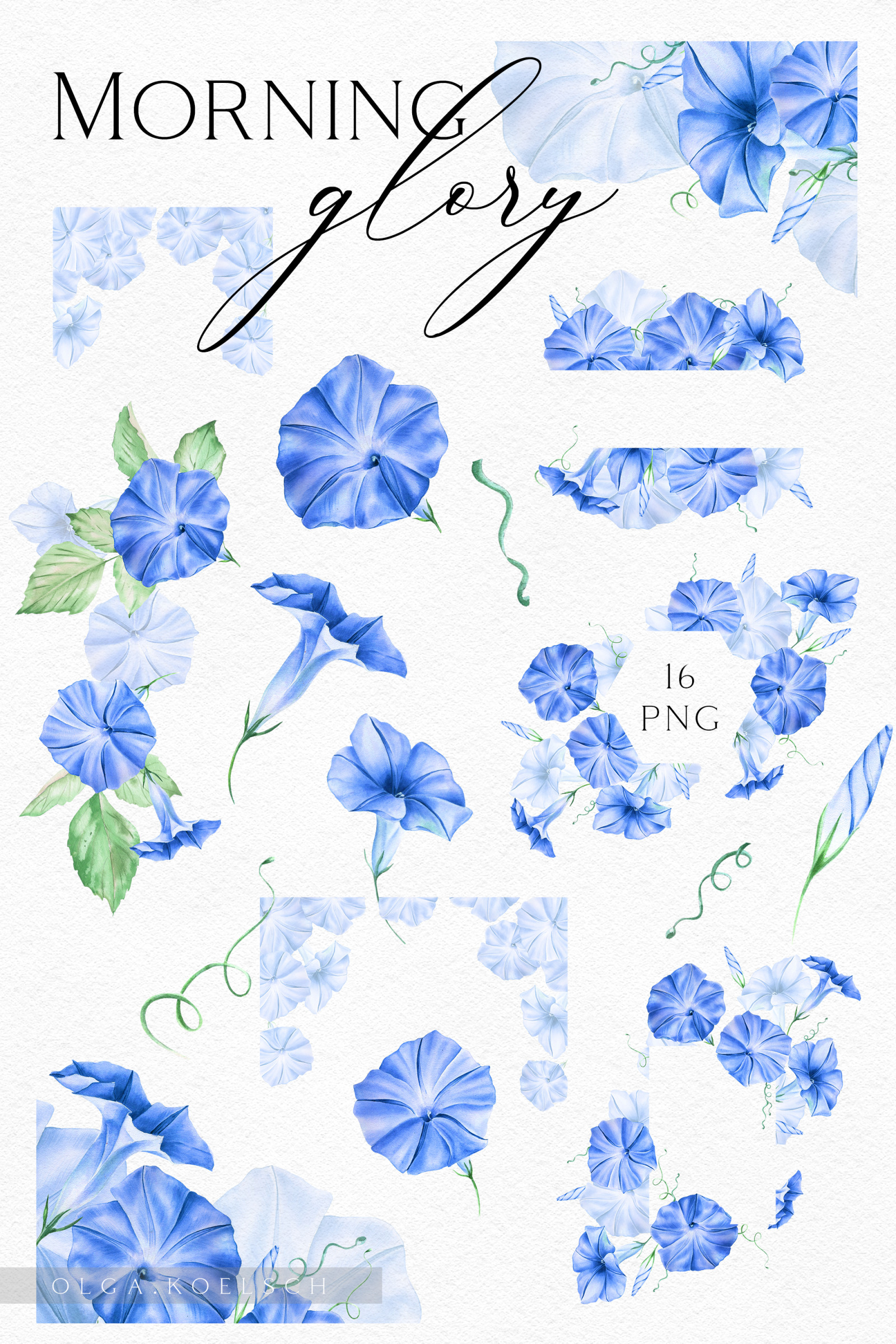 Watercolor blue floral modern clipart Hand drawn floral elements for wedding invitation