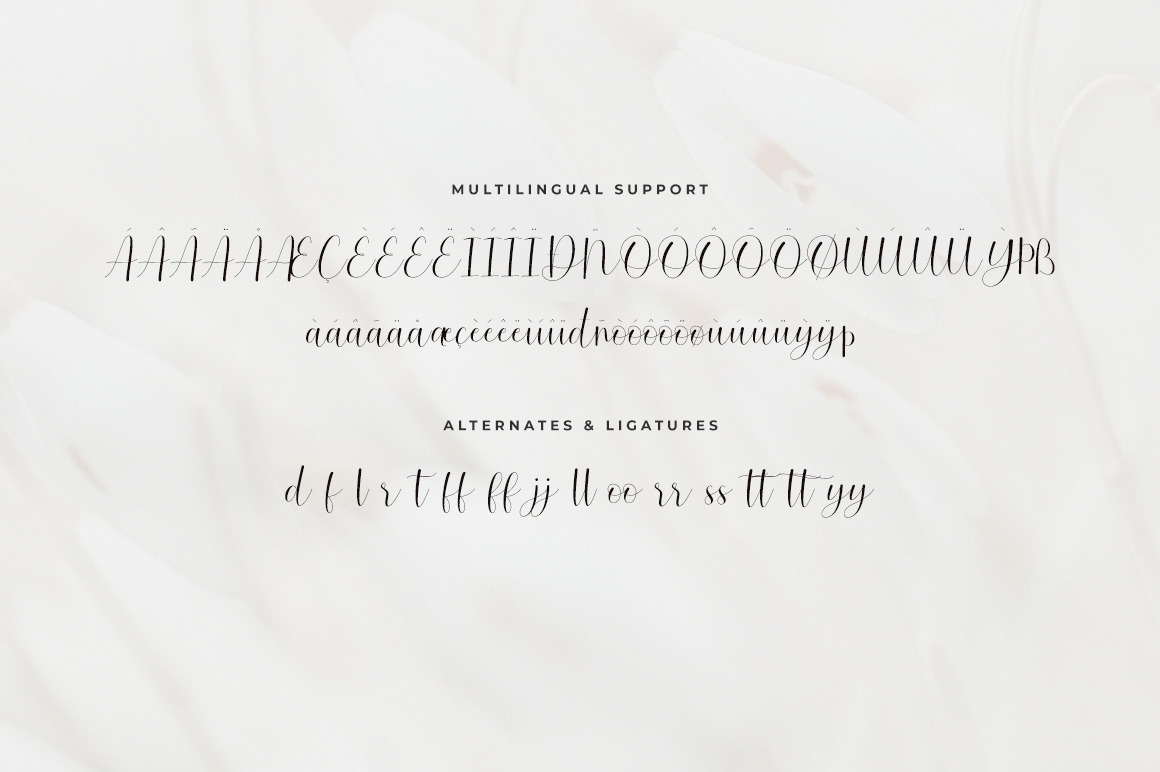 Saffire Lovely Script Saffire Lovely Script