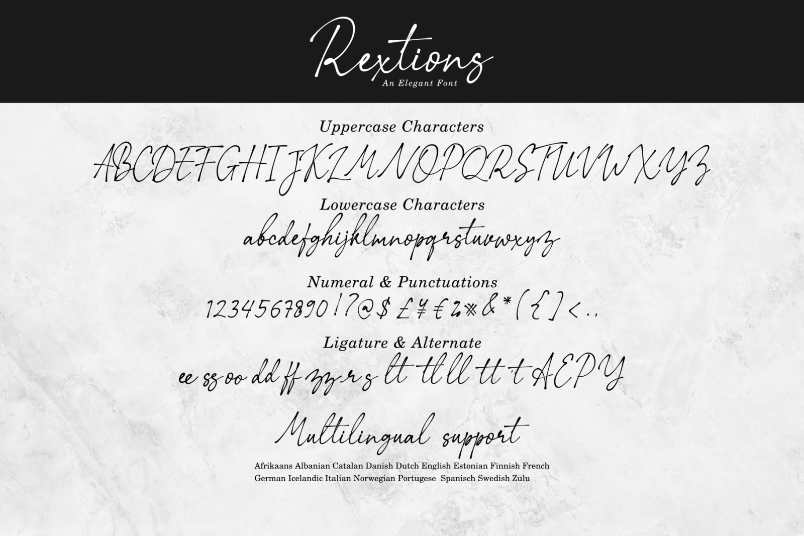 Rextions / an elegant font Rextions / an elegant font