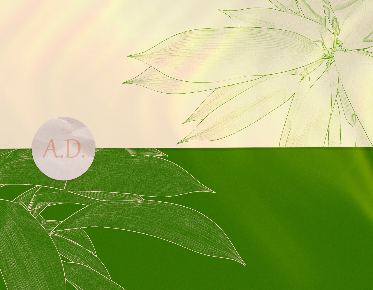 Nature #03 Nature #03