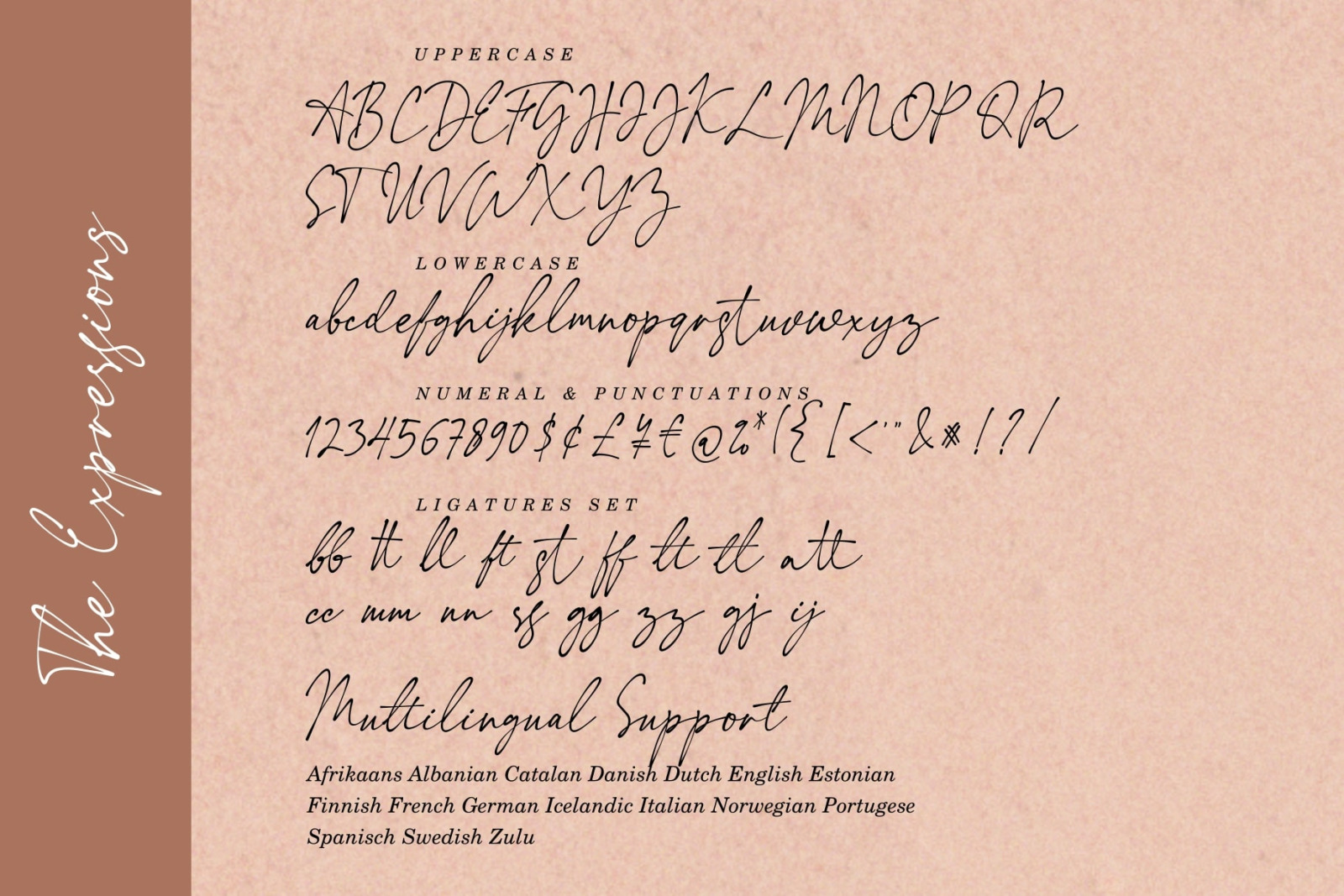 The Expressions / modern pretty font The Expressions / modern pretty font
