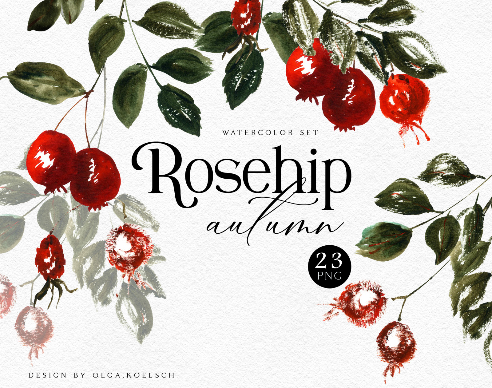 Watercolor autumn boho clipart Red berries and hand drawn floral elements. Floral frames png autumn Watercolor autumn boho clipart Red berries and hand drawn floral elements. Floral frames png autumn