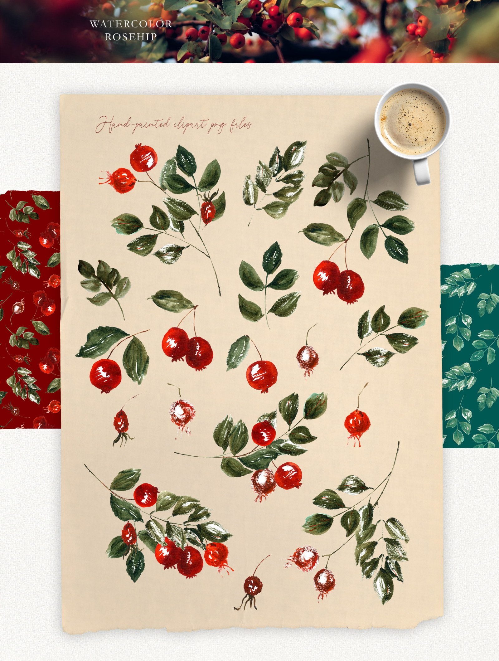 Watercolor autumn boho clipart Red berries and hand drawn floral elements. Floral frames png autumn