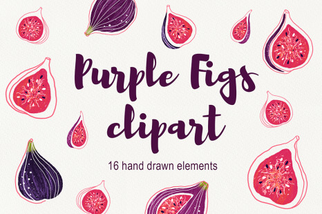 Purple Figs Clipart - Hand drawn elements