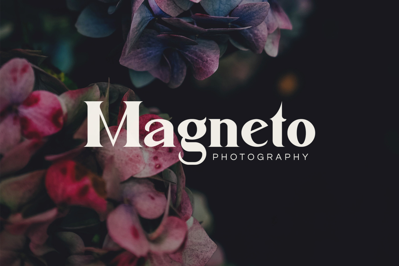 Balya Serif Font Balya Serif Font