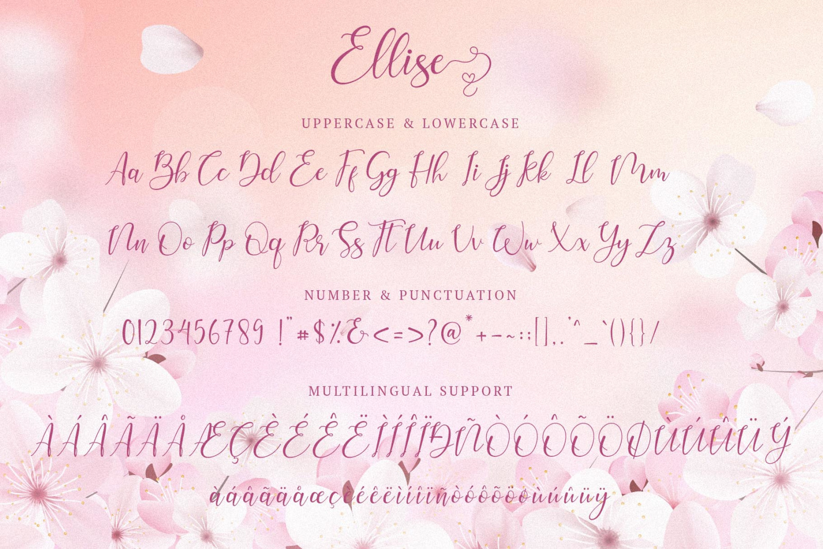 Ellise - Lovely Script Font Ellise - Lovely Script Font