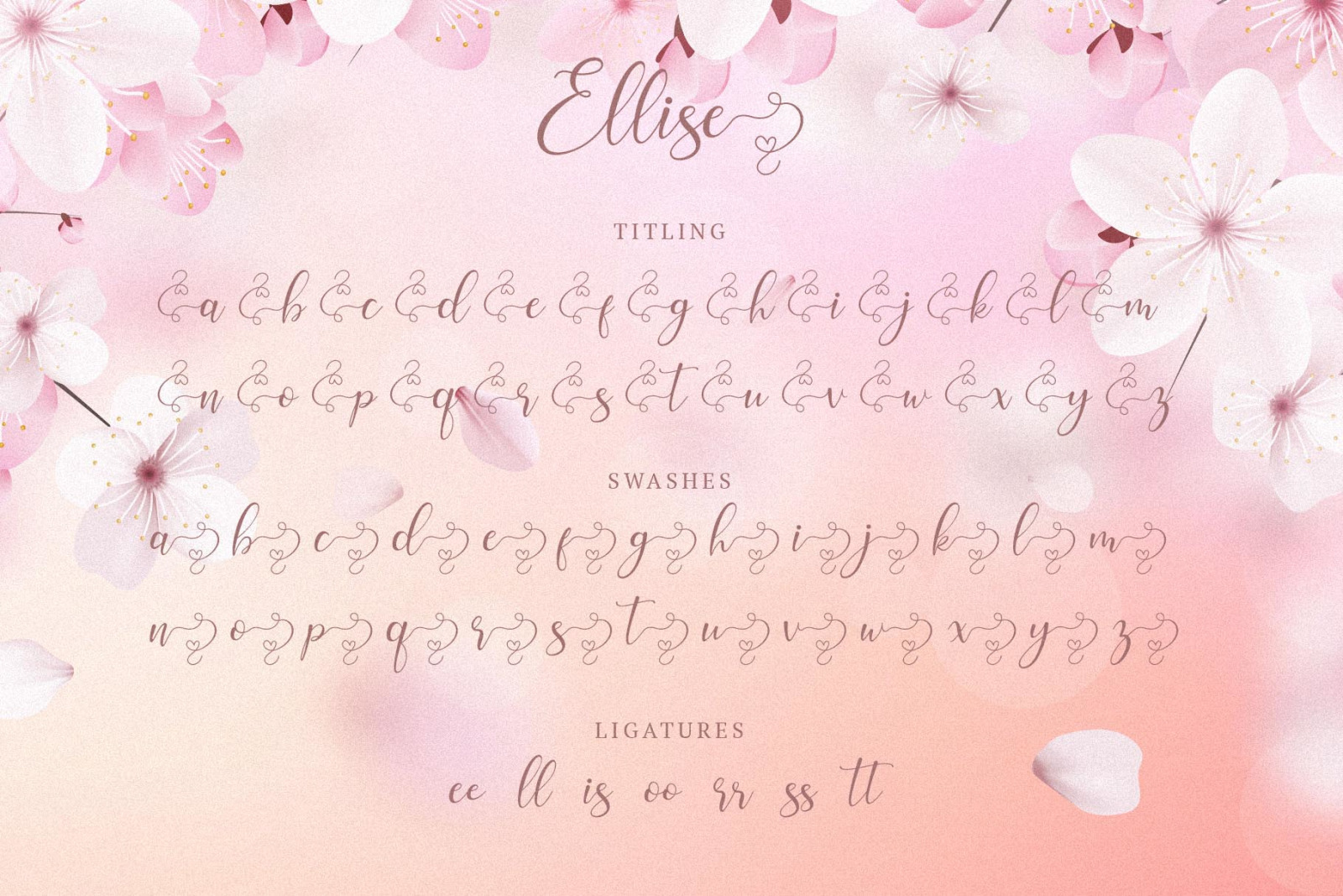Ellise - Lovely Script Font Ellise - Lovely Script Font