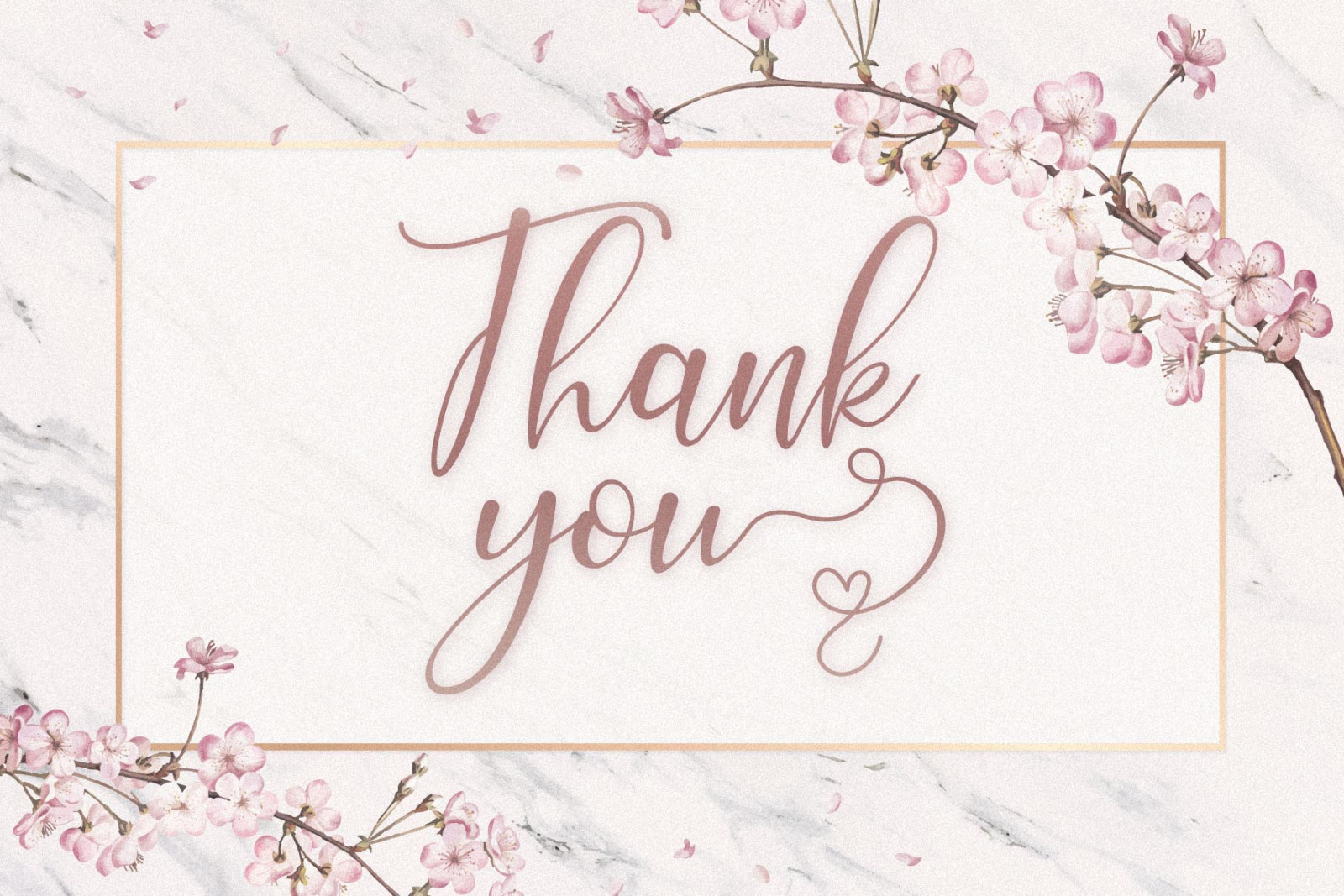 Ellise - Lovely Script Font Ellise - Lovely Script Font