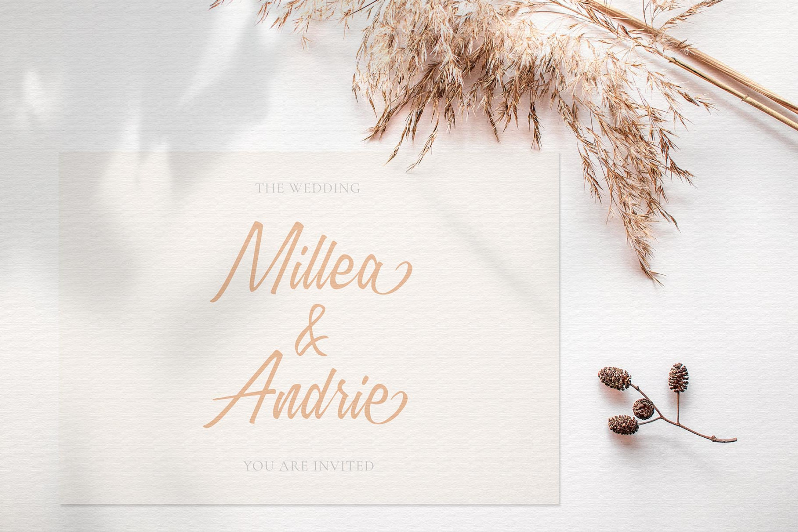 Millania || Modern Script Font